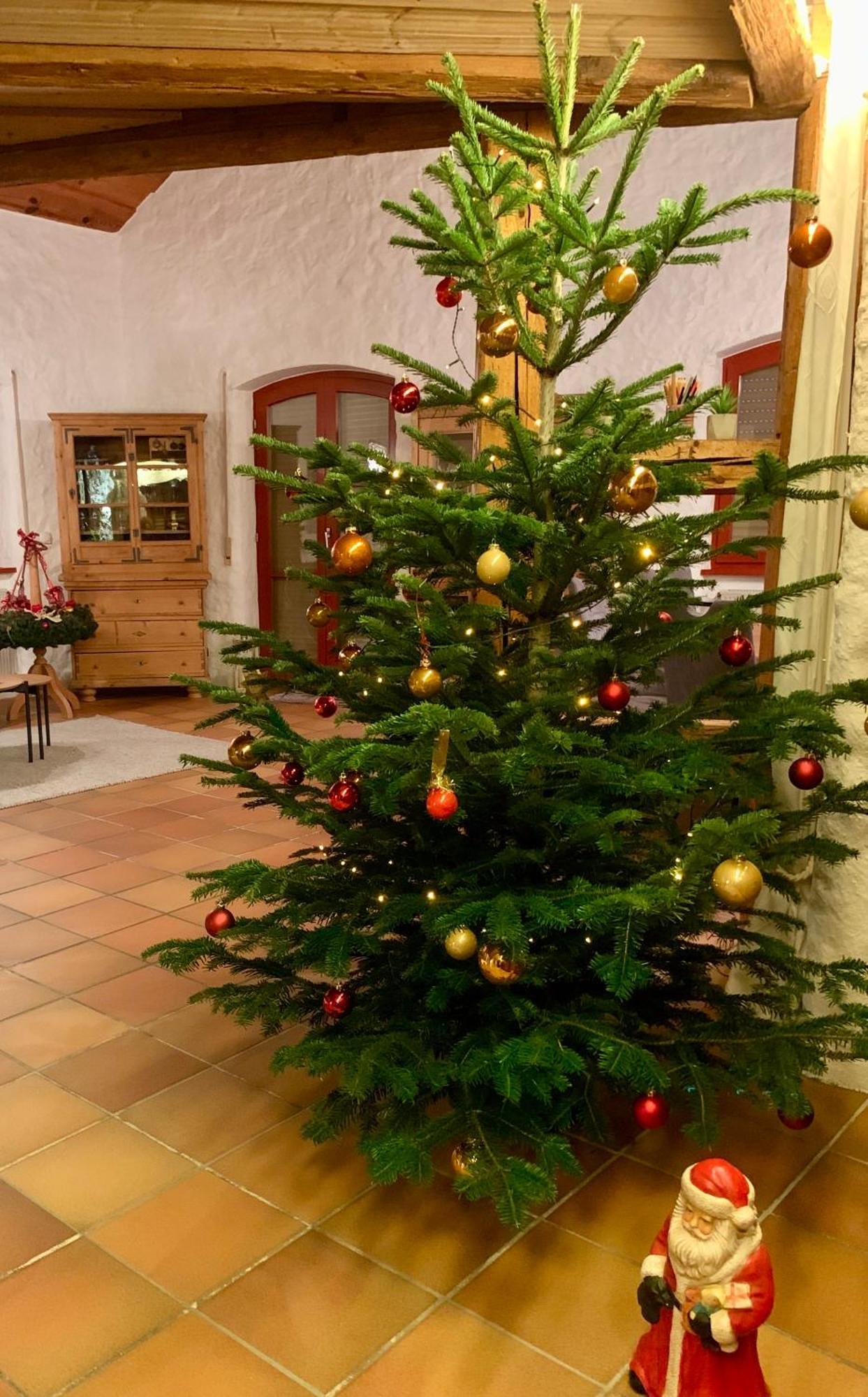 Altmuehl Familienvilla Treuchtlingen Exteriér fotografie